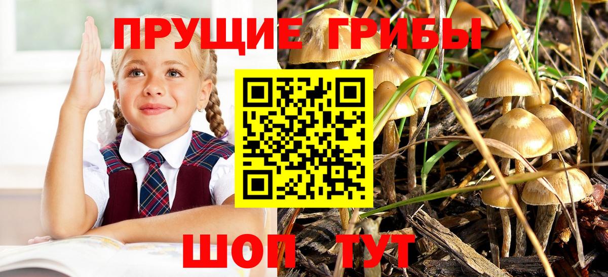 Псилоцибиновые грибы мицелий  наркота  Надым  Галлюциногенные грибы MAGIC MUSHROOMS  Вход с VPN 